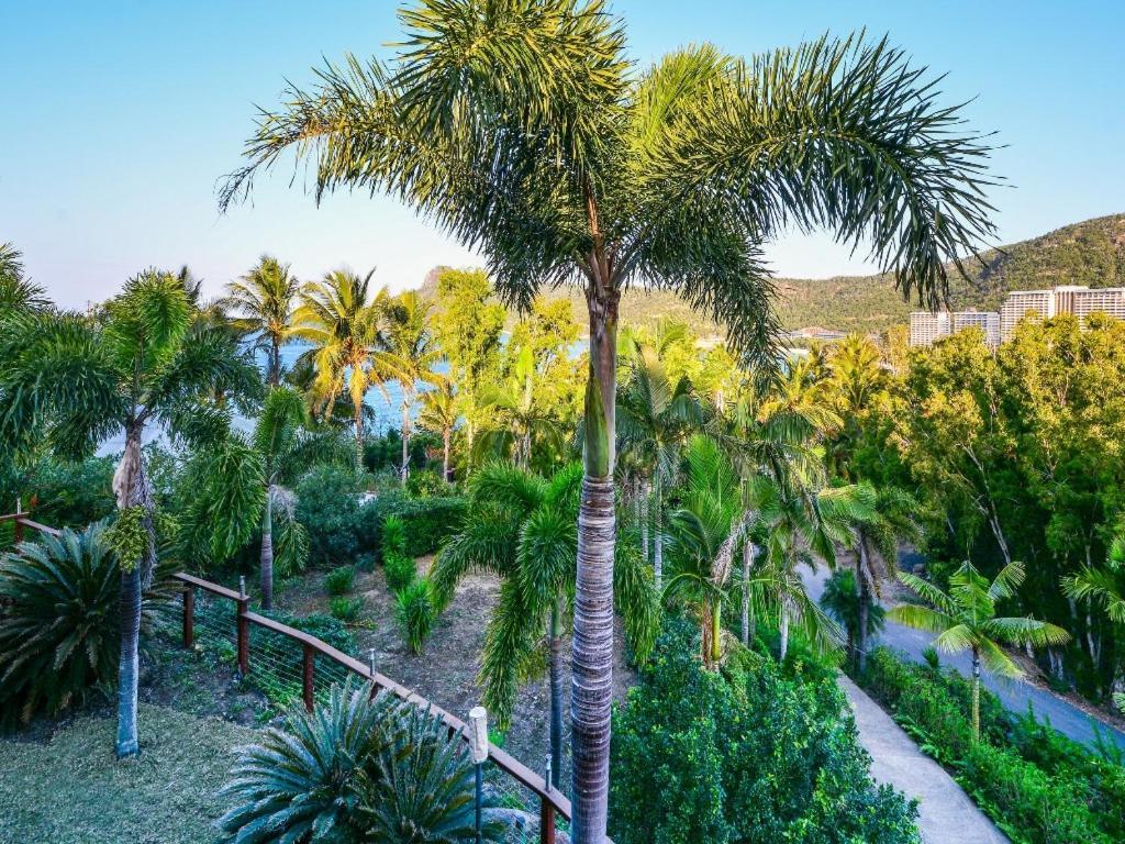 Villa The Palms On Hamilton Island Exterior foto